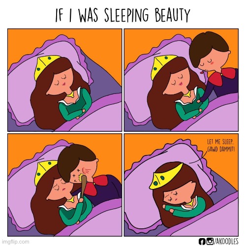 Sleeping beauty | image tagged in sleeping beauty,comics/cartoons | made w/ Imgflip meme maker