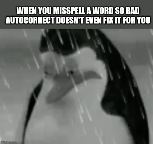 Meme #366 |  WHEN YOU MISSPELL A WORD SO BAD AUTOCORRECT DOESN'T EVEN FIX IT FOR YOU | image tagged in sadge,autocorrect,relatable,sad,memes,funny | made w/ Imgflip meme maker