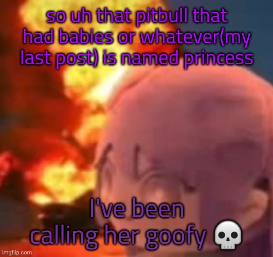 msmg | so uh that pitbull that had babies or whatever(my last post) is named princess; I've been calling her goofy 💀 | image tagged in msmg | made w/ Imgflip meme maker