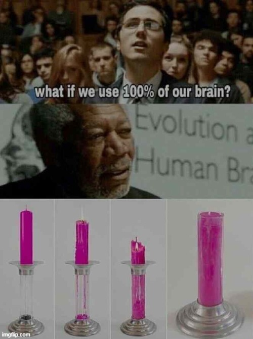 what if we used 100% of the brain | image tagged in what if we used 100 of the brain | made w/ Imgflip meme maker