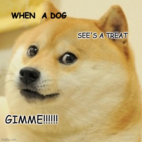 Doge | WHEN  A DOG; SEE'S A TREAT; GIMME!!!!!! | image tagged in memes,doge | made w/ Imgflip meme maker