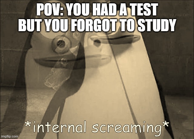 i'm the test | POV: YOU HAD A TEST BUT YOU FORGOT TO STUDY | image tagged in private internal screaming | made w/ Imgflip meme maker