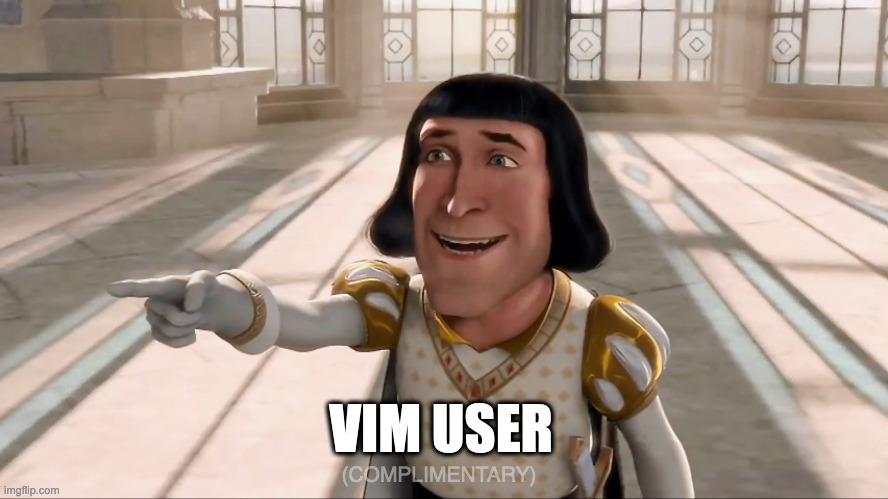 vim user | VIM USER; (COMPLIMENTARY) | image tagged in farquaad pointing | made w/ Imgflip meme maker