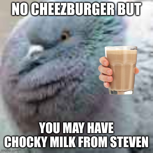 NO CHEEZBURGER BUT YOU MAY HAVE CHOCKY MILK FROM STEVEN | made w/ Imgflip meme maker