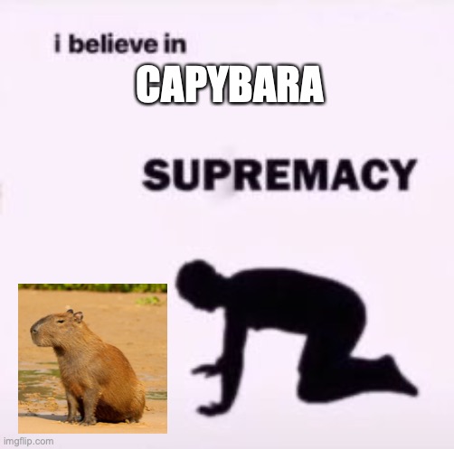 I believe in supremacy | CAPYBARA | image tagged in i believe in supremacy | made w/ Imgflip meme maker