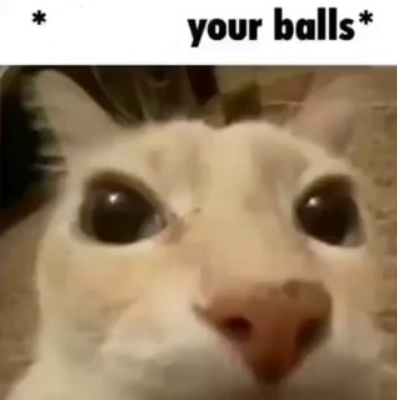 X your balls Blank Meme Template