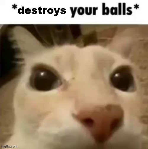 X your balls | destroys | image tagged in x your balls | made w/ Imgflip meme maker