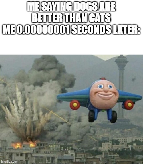 controvursial ( i cant spell lol) | ME SAYING DOGS ARE BETTER THAN CATS
ME 0.00000001 SECONDS LATER: | image tagged in plane flying from explosions | made w/ Imgflip meme maker