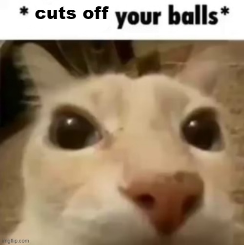 X your balls | cuts off | image tagged in x your balls | made w/ Imgflip meme maker
