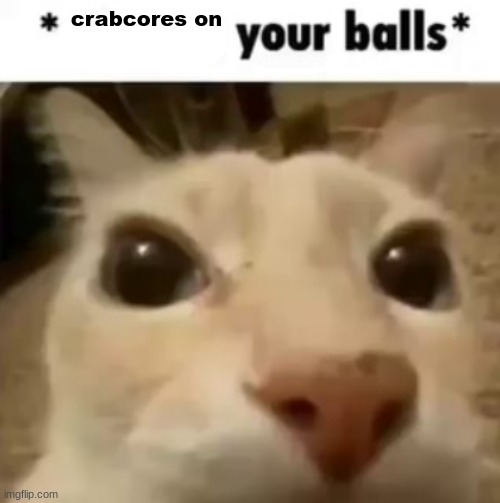 X your balls | crabcores on | image tagged in x your balls | made w/ Imgflip meme maker