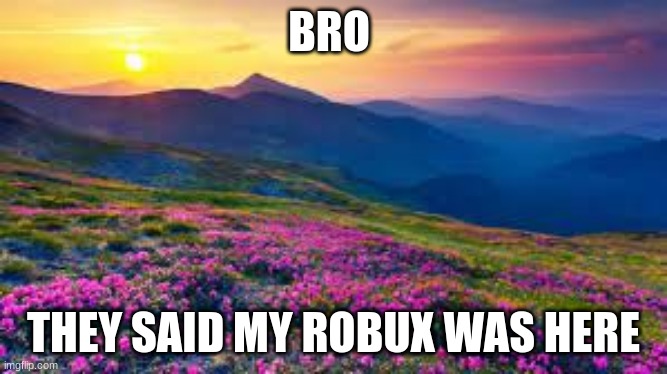 BRO; THEY SAID MY ROBUX WAS HERE | made w/ Imgflip meme maker