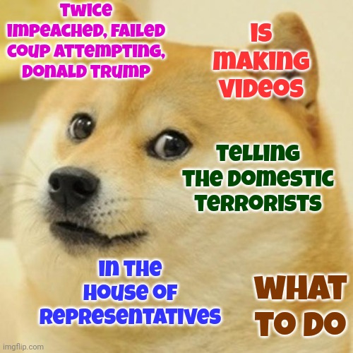 Why Didn't They Just Make Him Speaker Of The House Then? | twice impeached, failed coup attempting, Donald trump; is making videos; telling the domestic terrorists; in the house of representatives; what to do | image tagged in memes,doge,special kind of stupid,stupid domestic terrorists,religious frenzy,lock him up | made w/ Imgflip meme maker