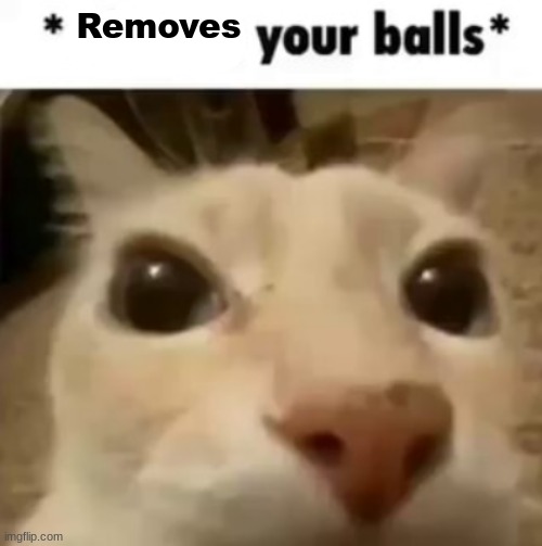 X your balls | Removes | image tagged in x your balls | made w/ Imgflip meme maker