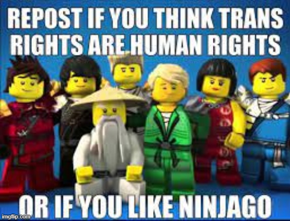 I'm reposting for both reasons | image tagged in ninjago,trans rights | made w/ Imgflip meme maker