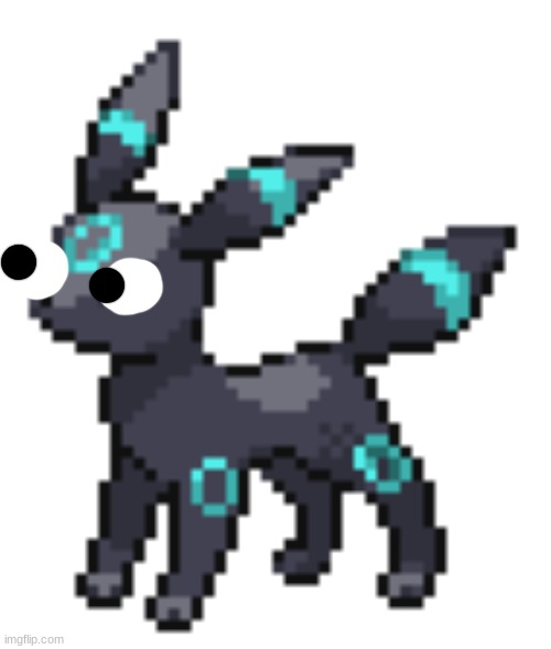 rocky the umbreon | image tagged in rocky the umbreon | made w/ Imgflip meme maker