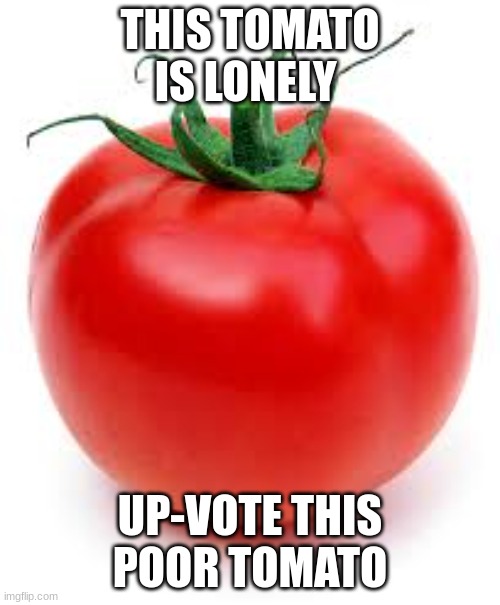 please do it for the poor tomato ? | THIS TOMATO IS LONELY; UP-VOTE THIS POOR TOMATO | image tagged in tomato | made w/ Imgflip meme maker