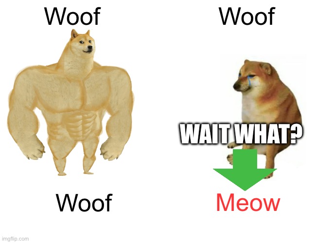 Buff Doge vs. Cheems | Woof; Woof; WAIT WHAT? Meow; Woof | image tagged in memes,buff doge vs cheems | made w/ Imgflip meme maker