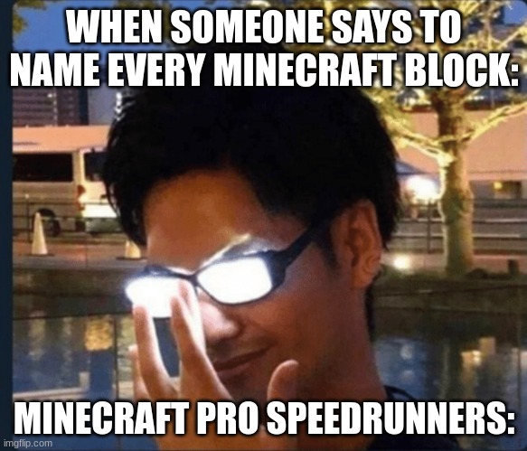 MINECRAFT | WHEN SOMEONE SAYS TO NAME EVERY MINECRAFT BLOCK:; MINECRAFT PRO SPEEDRUNNERS: | image tagged in anime glasses,memes,minecraft | made w/ Imgflip meme maker