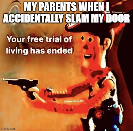 Your free trial of living has ended | MY PARENTS WHEN I ACCIDENTALLY SLAM MY DOOR | image tagged in your free trial of living has ended | made w/ Imgflip meme maker