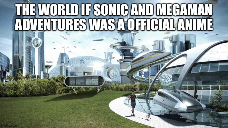 The future world if | THE WORLD IF SONIC AND MEGAMAN ADVENTURES WAS A OFFICIAL ANIME | image tagged in the future world if | made w/ Imgflip meme maker