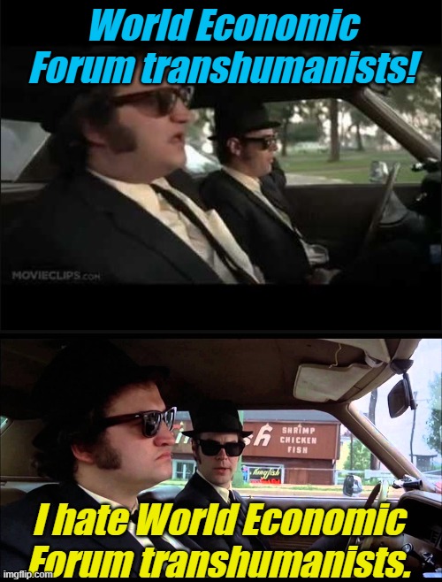 When you need a hero, who you gonna call? Might have to do it yourself. | World Economic Forum transhumanists! I hate World Economic Forum transhumanists. | image tagged in blues brothers illinois nazis,illinois nazis | made w/ Imgflip meme maker