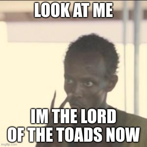 Look At Me | LOOK AT ME; IM THE LORD OF THE TOADS NOW | image tagged in memes,look at me | made w/ Imgflip meme maker