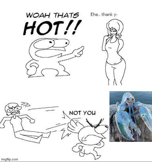 zoophile lore | image tagged in not you | made w/ Imgflip meme maker