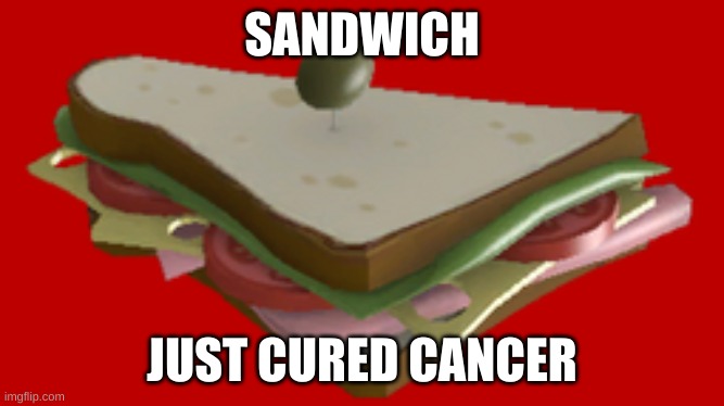 sandvich | SANDWICH JUST CURED CANCER | image tagged in sandvich | made w/ Imgflip meme maker