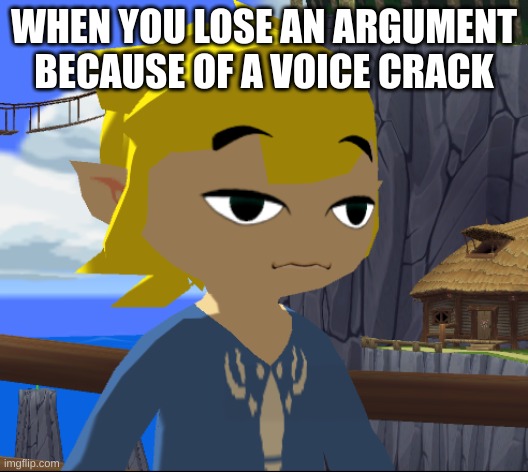 Relatable i'm sure | WHEN YOU LOSE AN ARGUMENT BECAUSE OF A VOICE CRACK | image tagged in funny memes | made w/ Imgflip meme maker