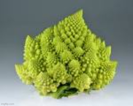 Romanesco broccoli | image tagged in broccoli,vegetables,veganism | made w/ Imgflip meme maker