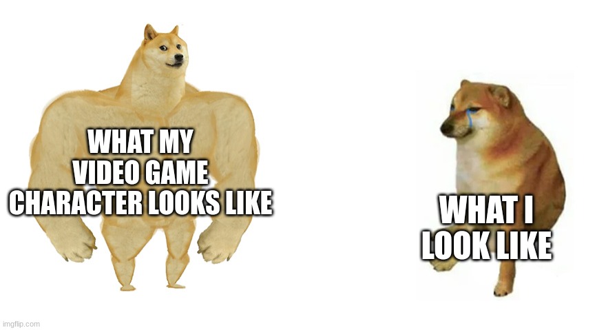 Buff Doge vs Crying Cheems | WHAT MY VIDEO GAME CHARACTER LOOKS LIKE; WHAT I LOOK LIKE | image tagged in buff doge vs crying cheems | made w/ Imgflip meme maker