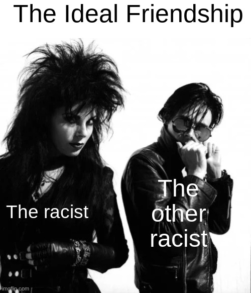 The Ideal Friendship; The other racist; The racist | image tagged in goth | made w/ Imgflip meme maker