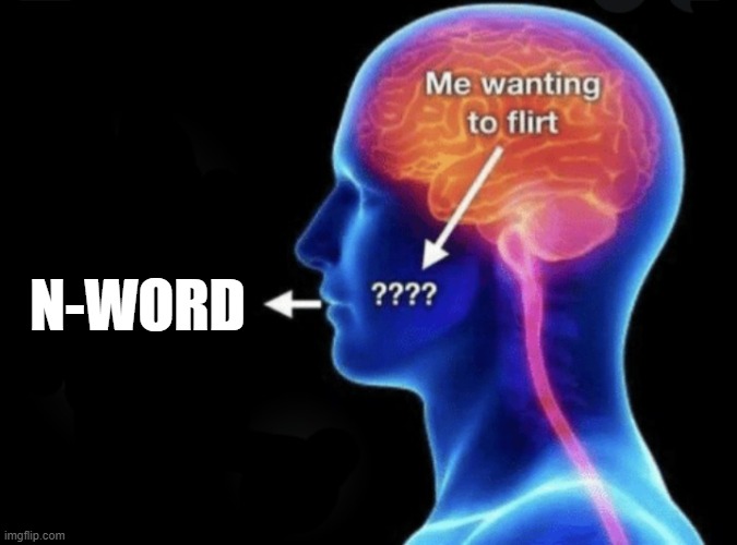 Me wanting to flirt | N-WORD | image tagged in me wanting to flirt | made w/ Imgflip meme maker