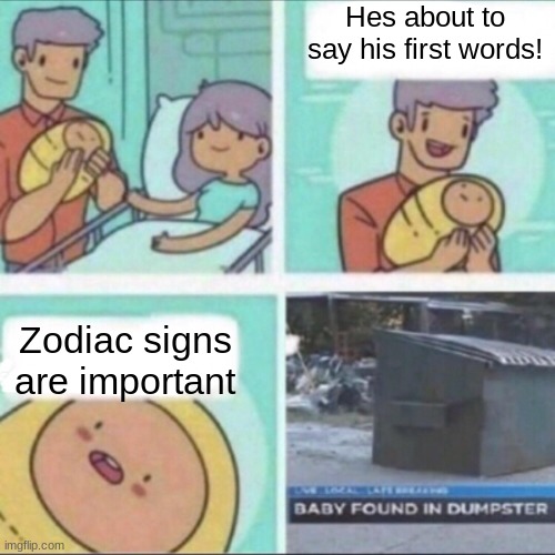 Baby Found in Dumpster | Hes about to say his first words! Zodiac signs are important | image tagged in baby found in dumpster | made w/ Imgflip meme maker