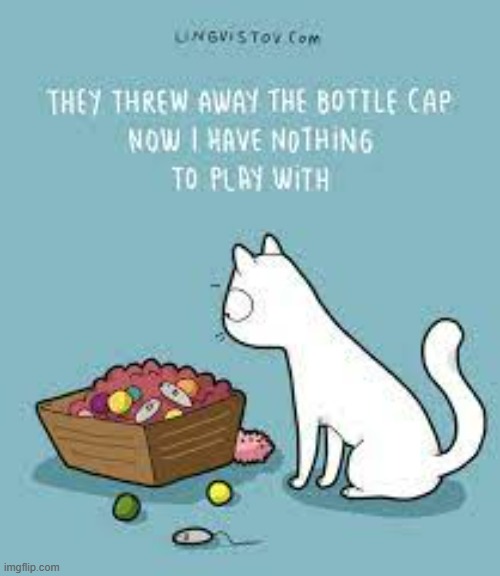 A Cat's Way Of Thinking | image tagged in memes,comics,cats,i want to play a game,bottle,cap | made w/ Imgflip meme maker