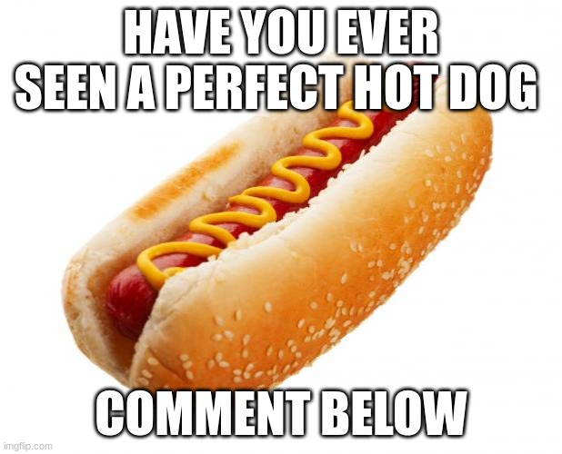 Hot dog  | HAVE YOU EVER SEEN A PERFECT HOT DOG; COMMENT BELOW | image tagged in hot dog | made w/ Imgflip meme maker