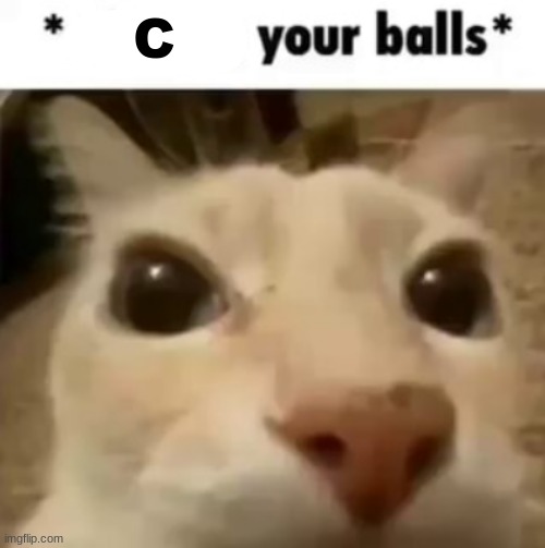 X your balls | C | image tagged in x your balls | made w/ Imgflip meme maker