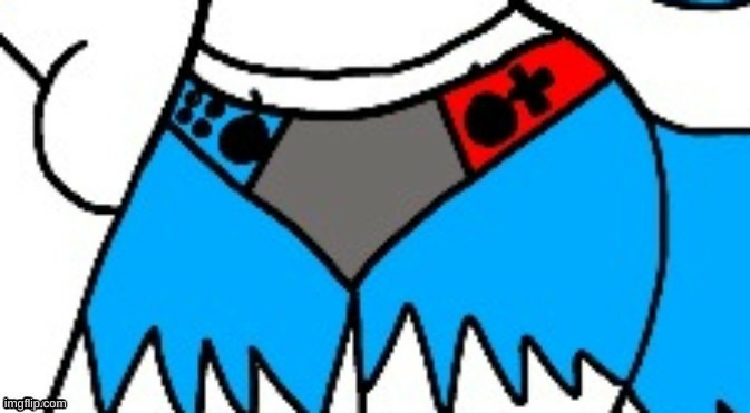 Switch panties | image tagged in switch panties | made w/ Imgflip meme maker