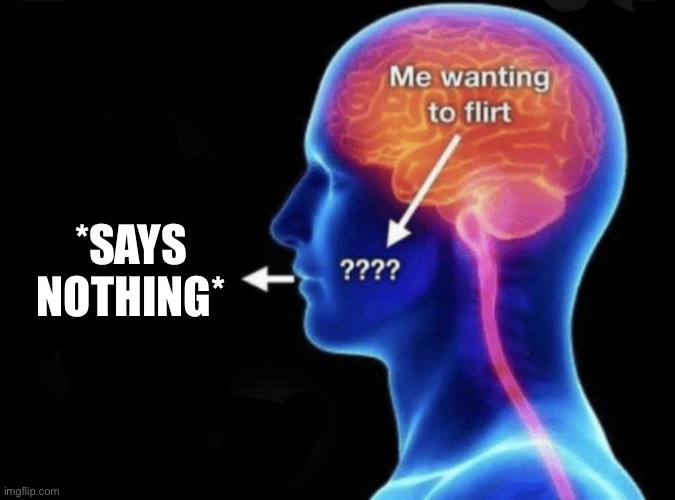 Me wanting to flirt | *SAYS NOTHING* | image tagged in me wanting to flirt | made w/ Imgflip meme maker