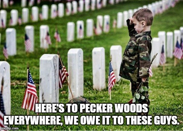 Salute the dead | HERE'S TO PECKER WOODS EVERYWHERE, WE OWE IT TO THESE GUYS. | image tagged in salute the dead | made w/ Imgflip meme maker