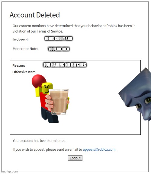 idk what to put here | BEING GOOFY AHH; YOU LIKE MEN; FOR HAVING NO BITCHES | image tagged in banned from roblox | made w/ Imgflip meme maker