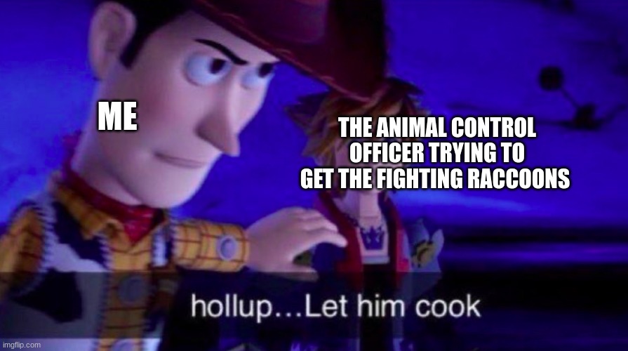 Wait I need to see how wins | ME; THE ANIMAL CONTROL OFFICER TRYING TO GET THE FIGHTING RACCOONS | image tagged in let him cook,wait,raccoon | made w/ Imgflip meme maker