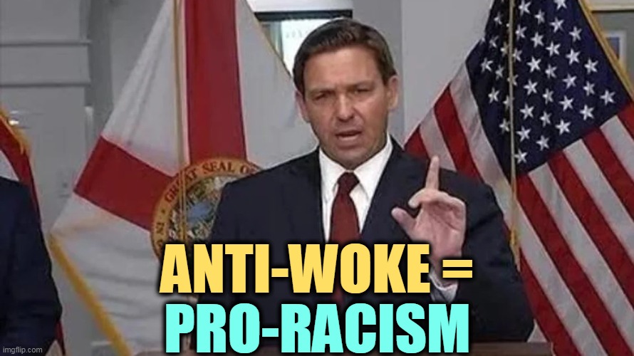 Did he think we wouldn't notice? | ANTI-WOKE =; PRO-RACISM | image tagged in ron desantis,woke,racist | made w/ Imgflip meme maker