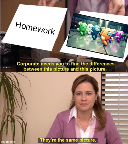They're The Same Picture Meme | Homework | image tagged in memes,they're the same picture | made w/ Imgflip meme maker