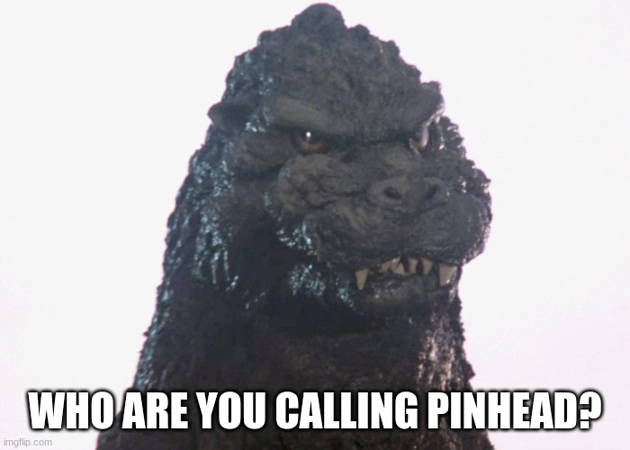 pinhead godzilla | WHO ARE YOU CALLING PINHEAD? | image tagged in pinhead godzilla | made w/ Imgflip meme maker