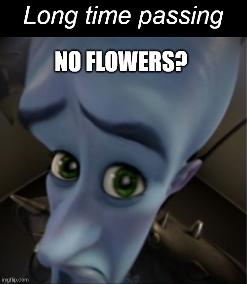 The Searchers | Long time passing; NO FLOWERS? | image tagged in megamind peeking | made w/ Imgflip meme maker