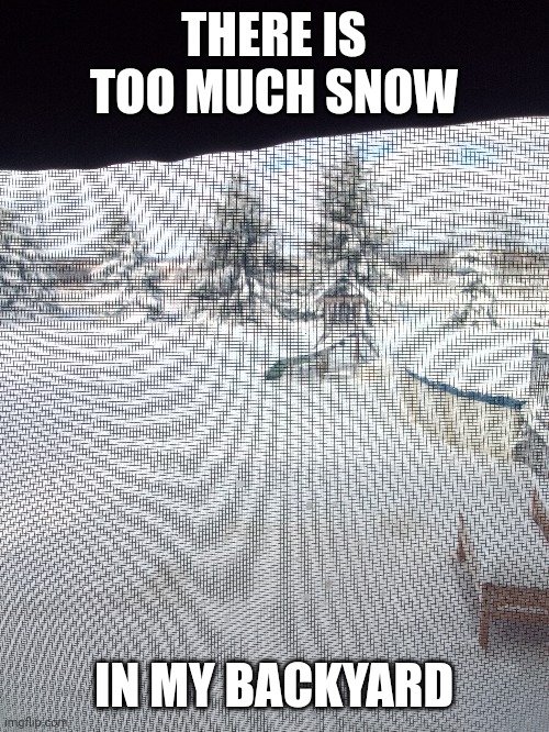 yes i live in canada ??? | THERE IS TOO MUCH SNOW; IN MY BACKYARD | image tagged in snow day | made w/ Imgflip meme maker