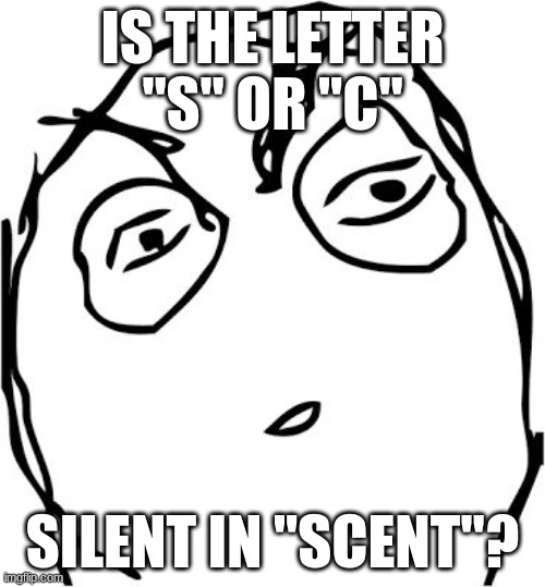 Wait a second | IS THE LETTER "S" OR "C"; SILENT IN "SCENT"? | image tagged in wait a second,shower thoughts,hold up,word play,funny,relatable | made w/ Imgflip meme maker