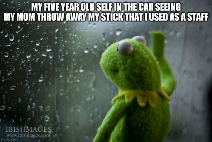 kermit is sad | MY FIVE YEAR OLD SELF IN THE CAR SEEING MY MOM THROW AWAY MY STICK THAT I USED AS A STAFF | image tagged in kermit window,relatable,meme | made w/ Imgflip meme maker