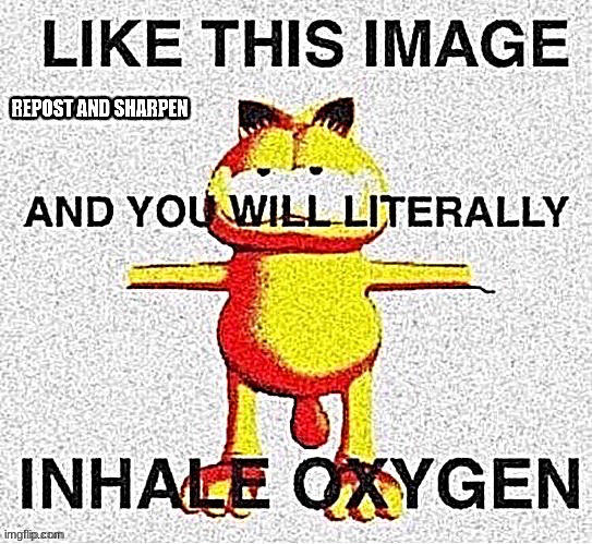 Save this image to photos, go to make meme, click new template, select this image, click effects, click sharpen | image tagged in repost | made w/ Imgflip meme maker